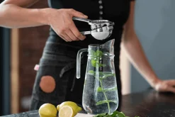 Sallys Edelstahl Zitruspresse all-in-one Presse