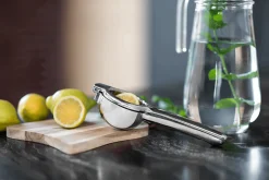 Sallys Edelstahl Zitruspresse all-in-one Presse