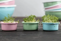 Sallys Emaille MINI Tapas Schälchen